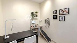Suites @ Bukit Timah (D21), Shop House #636257991